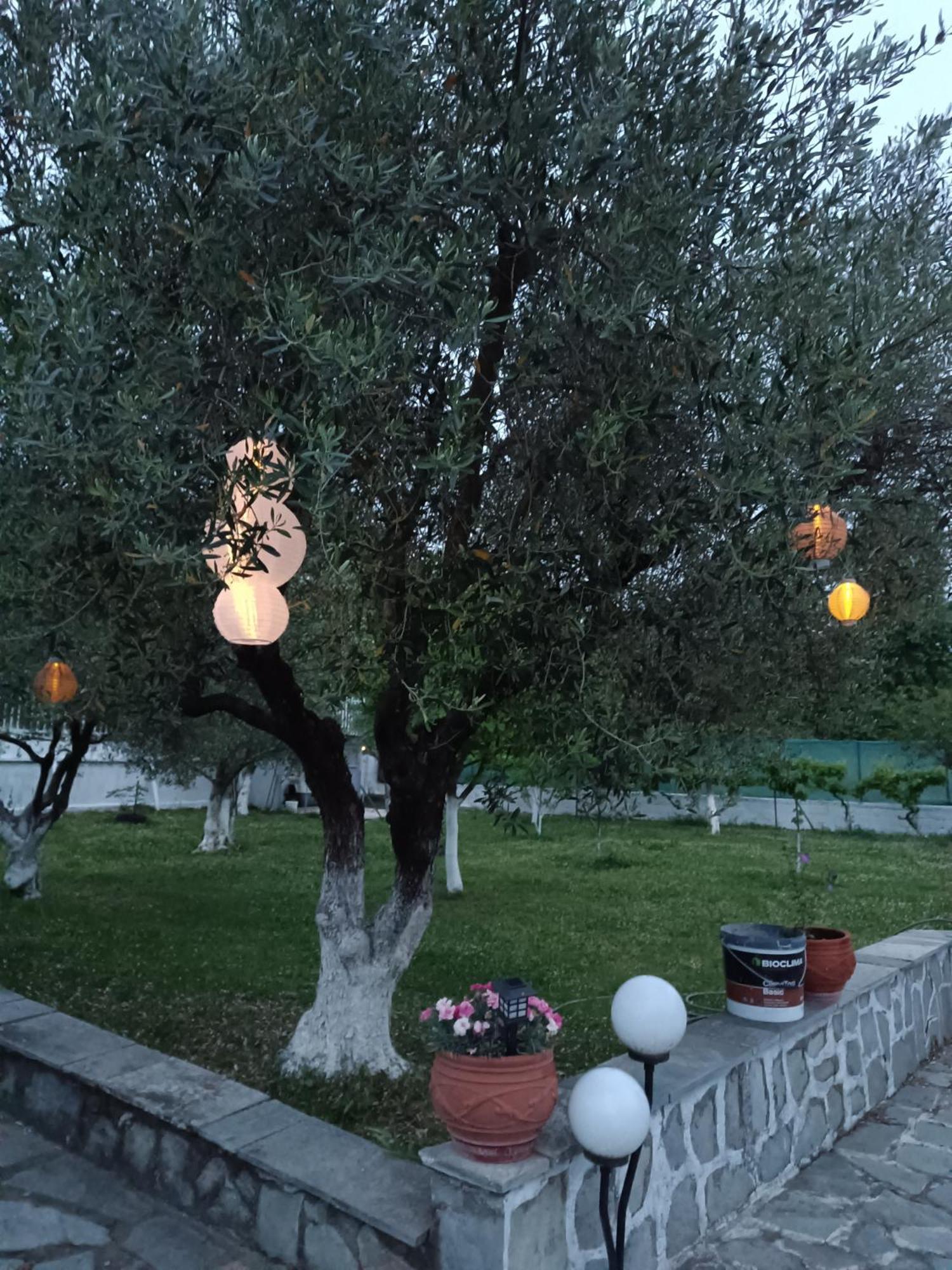 Affittacamere Pomegranate Tree House - Meteora Kalambaka Esterno foto