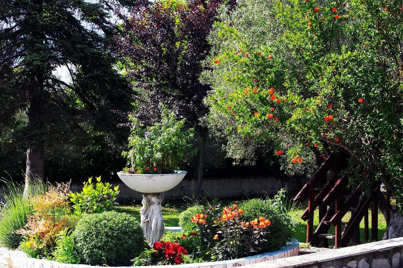 Affittacamere Pomegranate Tree House - Meteora Kalambaka Esterno foto